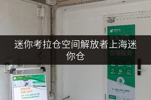 迷你考拉仓空间解放者上海迷你仓，轻松释放办公空间新境界