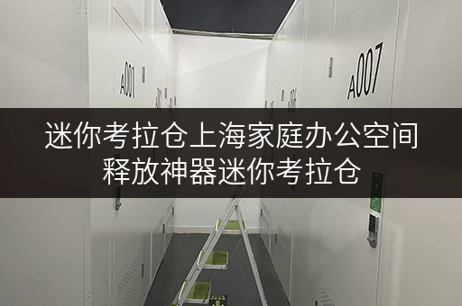 迷你考拉仓上海家庭办公空间释放神器迷你考拉仓,让办公更高效 迷你考拉仓上海家庭办公空间释放神器迷你考拉仓,让办公更高效