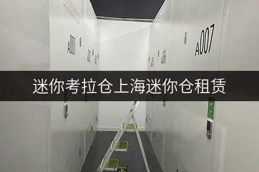 迷你考拉仓上海迷你仓租赁,办公空间释放新选择 迷你考拉仓上海迷你仓租赁,办公空间释放新选择