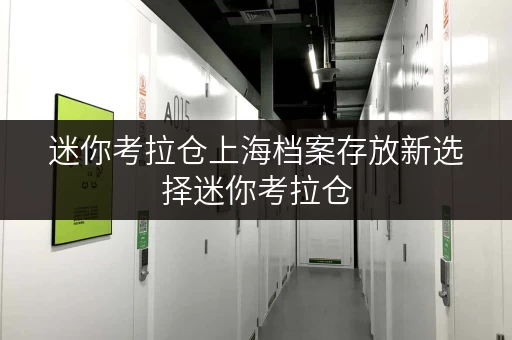 迷你考拉仓上海档案存放新选择迷你考拉仓,您的档案安全守护者 迷你考拉仓上海档案存放新选择迷你考拉仓,您的档案安全守护者