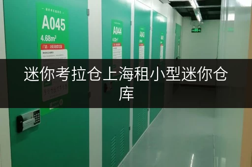迷你考拉仓上海租小型迷你仓库,安全与温湿监控双重保障,释放家庭空间! 迷你考拉仓上海租小型迷你仓库,安全与温湿监控双重保障,释放家庭空间!