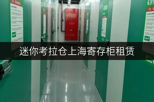迷你考拉仓上海寄存柜租赁,随存随取,便捷生活新选择 迷你考拉仓上海寄存柜租赁,随存随取,便捷生活新选择