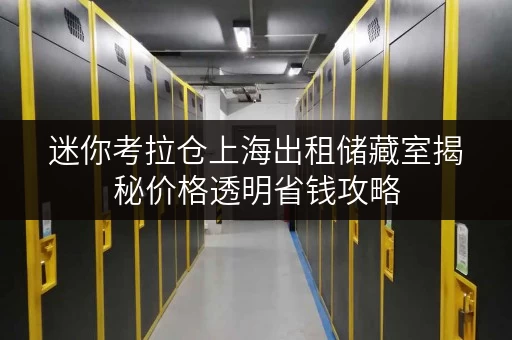 迷你考拉仓上海出租储藏室揭秘价格透明省钱攻略,轻松收纳空间不再头疼! 迷你考拉仓上海出租储藏室揭秘价格透明省钱攻略,轻松收纳空间不再头疼!