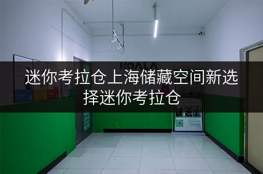 迷你考拉仓上海储藏空间新选择迷你考拉仓,安全与温湿监控双重保障 迷你考拉仓上海储藏空间新选择迷你考拉仓,安全与温湿监控双重保障