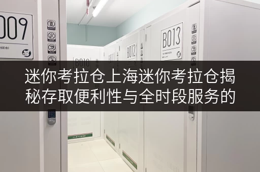 迷你考拉仓上海迷你考拉仓揭秘存取便利性与全时段服务的价格优势 迷你考拉仓上海迷你考拉仓揭秘存取便利性与全时段服务的价格优势