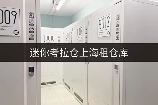 迷你考拉仓上海租仓库，品质生活新选择——迷你考拉仓，您的私人空间管家