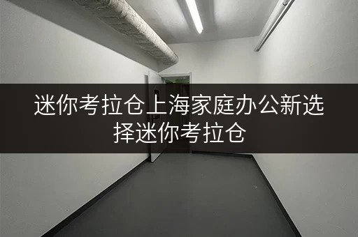 迷你考拉仓上海家庭办公新选择迷你考拉仓,释放办公空间,提升效率 迷你考拉仓上海家庭办公新选择迷你考拉仓,释放办公空间,提升效率