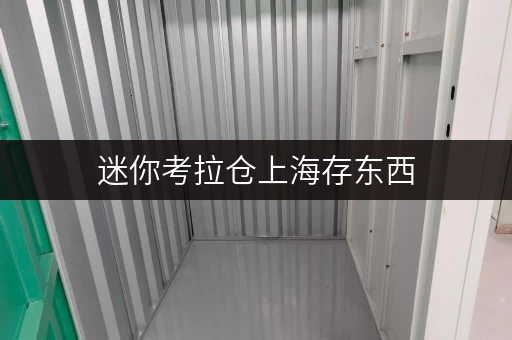 迷你考拉仓上海存东西,迷你考拉仓解锁全时段便捷存储新体验 迷你考拉仓上海存东西,迷你考拉仓解锁全时段便捷存储新体验