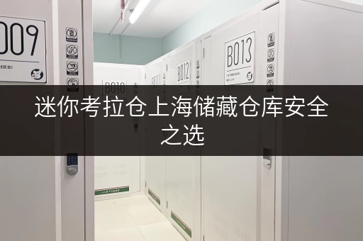 迷你考拉仓上海储藏仓库安全之选，温湿监控守护您的宝贵物品