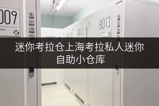 迷你考拉仓上海考拉私人迷你自助小仓库,打造便捷生活新方式 迷你考拉仓上海考拉私人迷你自助小仓库,打造便捷生活新方式