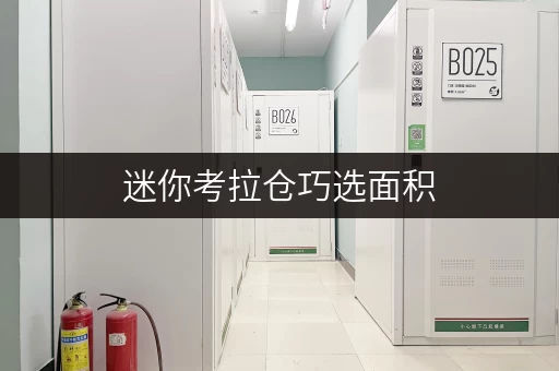 迷你考拉仓巧选面积,打造个人储物新天地——上海迷你仓租赁全攻略 迷你考拉仓巧选面积,打造个人储物新天地——上海迷你仓租赁全攻略
