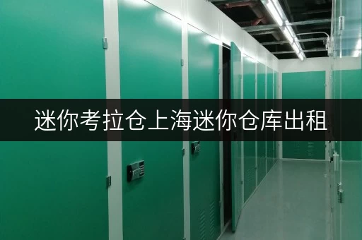 迷你考拉仓上海迷你仓库出租,随存随取,解放空间新选择! 迷你考拉仓上海迷你仓库出租,随存随取,解放空间新选择!