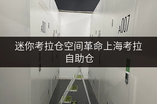 迷你考拉仓空间革命上海考拉自助仓,如何让家回归温馨? 迷你考拉仓空间革命上海考拉自助仓,如何让家回归温馨?