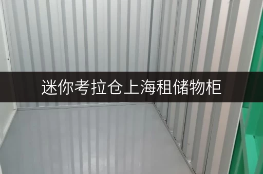 迷你考拉仓上海租储物柜,安全与温湿监控双重保障,让您的物品安心“住”家 迷你考拉仓上海租储物柜,安全与温湿监控双重保障,让您的物品安心“住”家