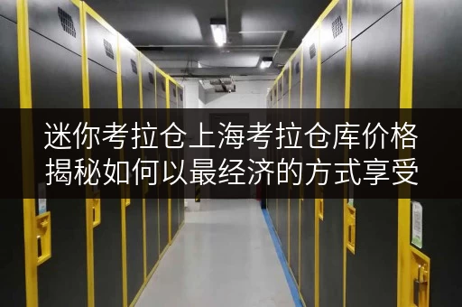 迷你考拉仓上海考拉仓库价格揭秘如何以最经济的方式享受便捷存取服务 迷你考拉仓上海考拉仓库价格揭秘如何以最经济的方式享受便捷存取服务
