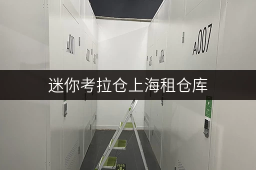 迷你考拉仓上海租仓库，上什么网站？便捷存取，全时段服务，迷你考拉仓为您解答