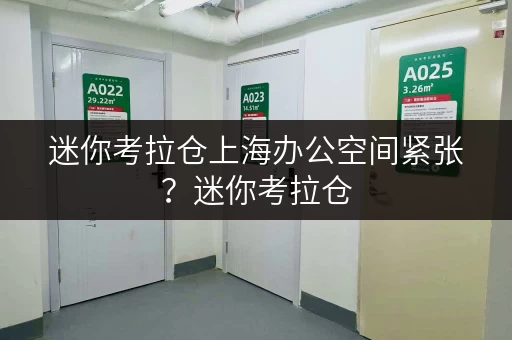 迷你考拉仓上海办公空间紧张？迷你考拉仓，释放你的办公空间！