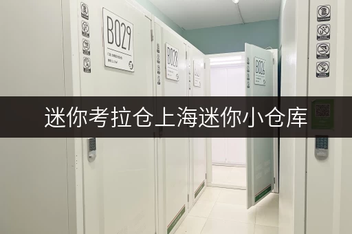 迷你考拉仓上海迷你小仓库,存取无忧,全时段服务让您生活更便捷 迷你考拉仓上海迷你小仓库,存取无忧,全时段服务让您生活更便捷