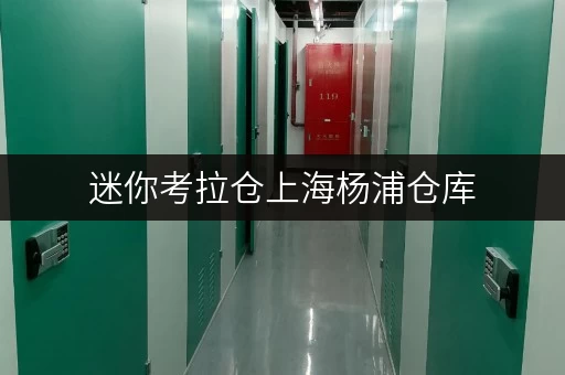 迷你考拉仓上海杨浦仓库，安全与温湿监控，打造您的私人储物空间