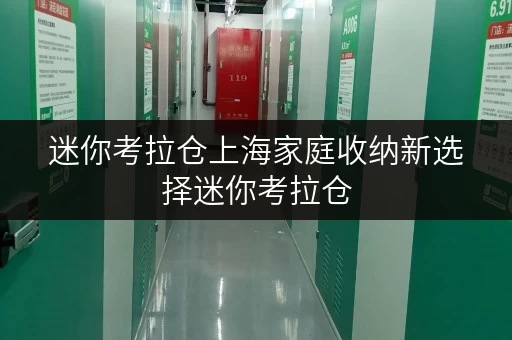 迷你考拉仓上海家庭收纳新选择迷你考拉仓,让存取更便捷 迷你考拉仓上海家庭收纳新选择迷你考拉仓,让存取更便捷