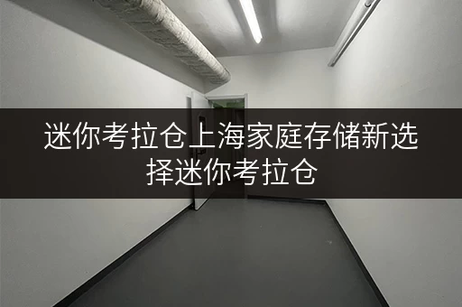 迷你考拉仓上海家庭存储新选择迷你考拉仓，安全温湿监控，让您的物品安心“安家”