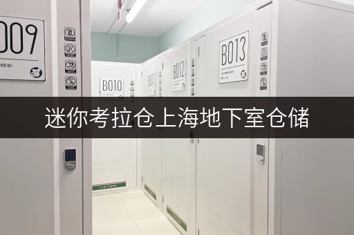 迷你考拉仓上海地下室仓储,释放办公空间新思路 迷你考拉仓上海地下室仓储,释放办公空间新思路