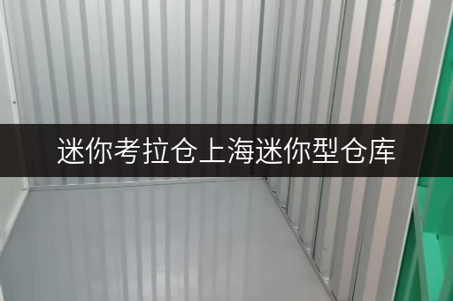 迷你考拉仓上海迷你型仓库,安全与温湿监控双重守护,让您的物品无忧存储 迷你考拉仓上海迷你型仓库,安全与温湿监控双重守护,让您的物品无忧存储