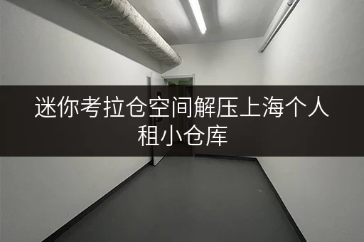 迷你考拉仓空间解压上海个人租小仓库,办公物品存放新选择 迷你考拉仓空间解压上海个人租小仓库,办公物品存放新选择