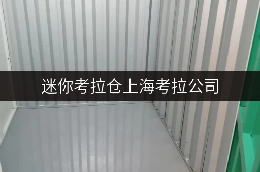 迷你考拉仓上海考拉公司,随存随取,便捷生活新体验 迷你考拉仓上海考拉公司,随存随取,便捷生活新体验