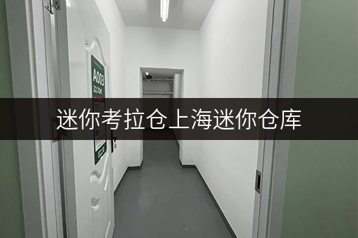 迷你考拉仓上海迷你仓库,价格透明,安全护航——揭秘物品储存新选择 迷你考拉仓上海迷你仓库,价格透明,安全护航——揭秘物品储存新选择