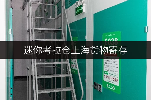迷你考拉仓上海货物寄存,告别空间焦虑,随存随取更便捷 迷你考拉仓上海货物寄存,告别空间焦虑,随存随取更便捷