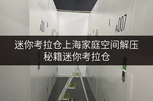 迷你考拉仓上海家庭空间解压秘籍迷你考拉仓,安全与温湿监控双重守护 迷你考拉仓上海家庭空间解压秘籍迷你考拉仓,安全与温湿监控双重守护