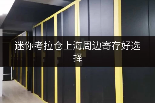 迷你考拉仓上海周边寄存好选择,迷你考拉仓为您省心存储方案 迷你考拉仓上海周边寄存好选择,迷你考拉仓为您省心存储方案