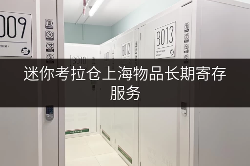 迷你考拉仓上海物品长期寄存服务,安全与温湿监控双重保障 迷你考拉仓上海物品长期寄存服务,安全与温湿监控双重保障