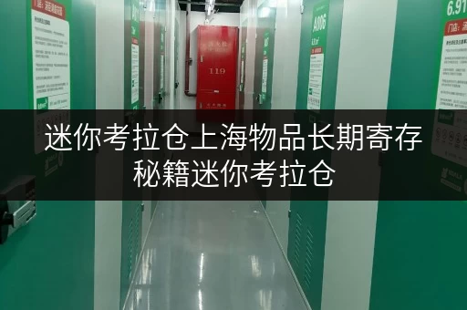 迷你考拉仓上海物品长期寄存秘籍迷你考拉仓,让您的空间无忧! 迷你考拉仓上海物品长期寄存秘籍迷你考拉仓,让您的空间无忧!