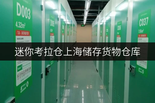 迷你考拉仓上海储存货物仓库,轻松解决随存随取的烦恼! 迷你考拉仓上海储存货物仓库,轻松解决随存随取的烦恼!