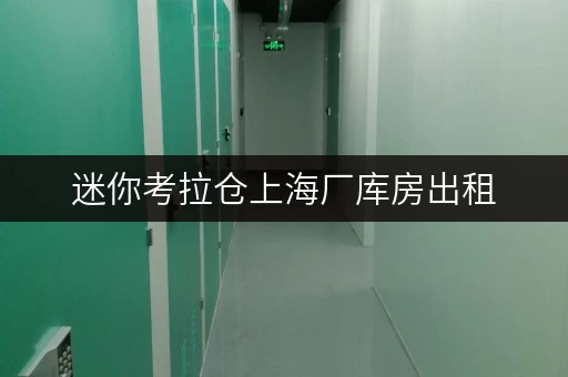 迷你考拉仓上海厂库房出租,存取无忧,全时段服务,释放空间新体验 迷你考拉仓上海厂库房出租,存取无忧,全时段服务,释放空间新体验