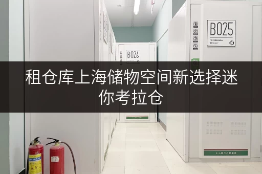 租仓库上海储物空间新选择迷你考拉仓，随存随取，轻松管理你的空间
