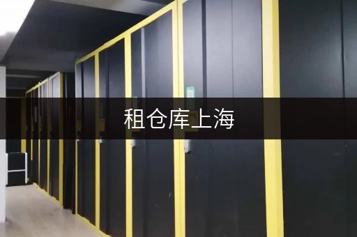 租仓库上海，你的空间守护者——迷你考拉仓，让每一件物品都安放无忧