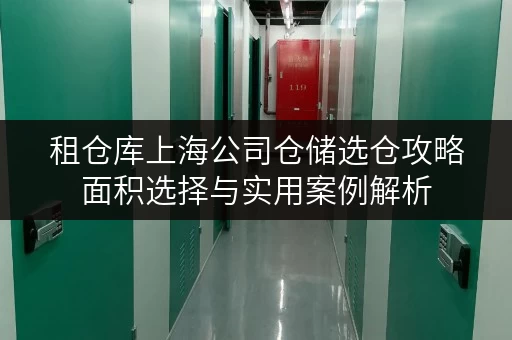 租仓库上海公司仓储选仓攻略面积选择与实用案例解析 租仓库上海公司仓储选仓攻略面积选择与实用案例解析