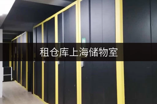 租仓库上海储物室,告别空间焦虑,让货物存放更省心 租仓库上海储物室,告别空间焦虑,让货物存放更省心