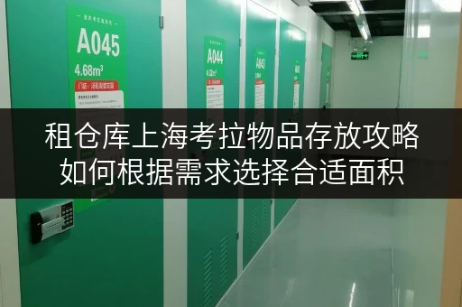 租仓库上海考拉物品存放攻略如何根据需求选择合适面积 租仓库上海考拉物品存放攻略如何根据需求选择合适面积