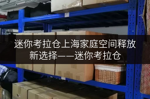 迷你考拉仓上海家庭空间释放新选择——迷你考拉仓，品质生活从“整理”开始