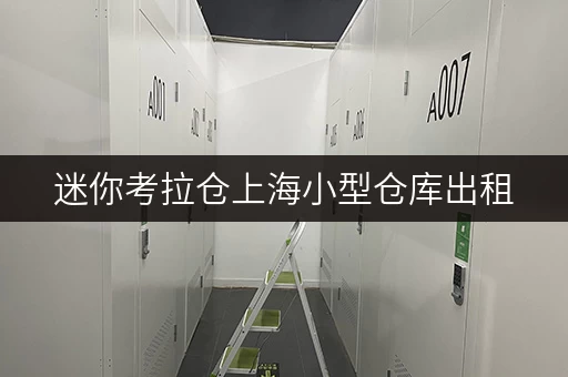 迷你考拉仓上海小型仓库出租，全时段服务，价格透明攻略