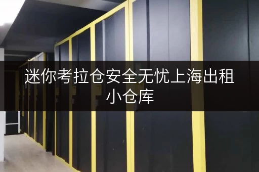 迷你考拉仓安全无忧上海出租小仓库,迷你考拉仓守护您的宝贵物品 迷你考拉仓安全无忧上海出租小仓库,迷你考拉仓守护您的宝贵物品