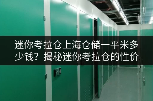 迷你考拉仓上海仓储一平米多少钱？揭秘迷你考拉仓的性价比之选