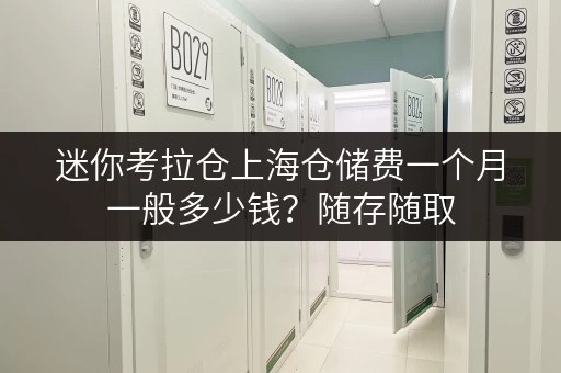 迷你考拉仓上海仓储费一个月一般多少钱?随存随取,便捷生活新选择 迷你考拉仓上海仓储费一个月一般多少钱?随存随取,便捷生活新选择