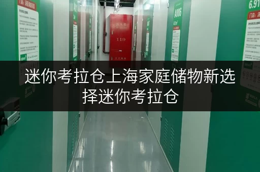 迷你考拉仓上海家庭储物新选择迷你考拉仓,安全温湿监控,守护您的每一件宝贝 迷你考拉仓上海家庭储物新选择迷你考拉仓,安全温湿监控,守护您的每一件宝贝