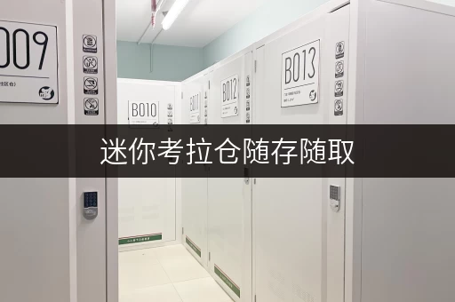 迷你考拉仓随存随取,尽享便捷——上海考拉自助迷你仓,您的私人空间管家 迷你考拉仓随存随取,尽享便捷——上海考拉自助迷你仓,您的私人空间管家
