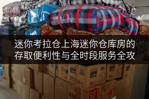 迷你考拉仓上海迷你仓库房的存取便利性与全时段服务全攻略